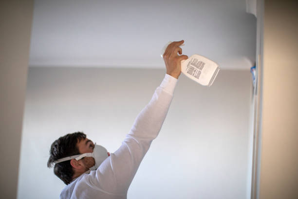 Best Kitchen Mold Remediation in Mansfield, TX