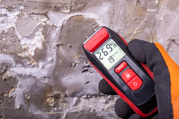  Mansfield, TX Mold Removal Pros