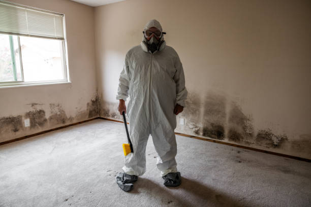 Best Residential Mold Remediation in Mansfield, TX